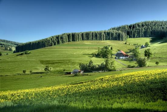 Top 10 places in Black Forest | Coach Charter | Bus rental